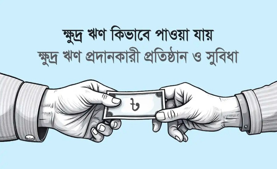 ক্ষুদ্র ঋণ নিয়ে কী ধরনের ব্যবসা করা যায়